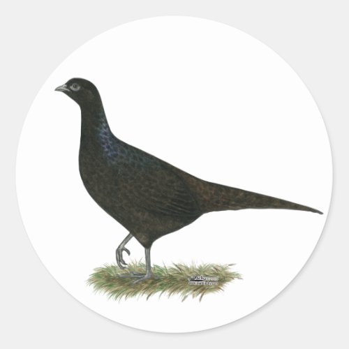 Pheasant Black Hen Classic Round Sticker