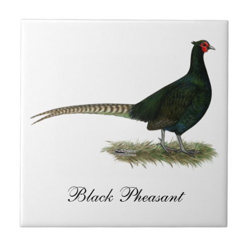 Pheasant Black Rooster Ceramic Tile