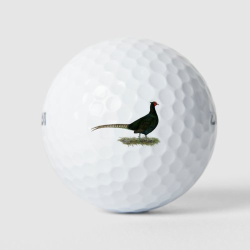 Pheasant Black Rooster Golf Balls
