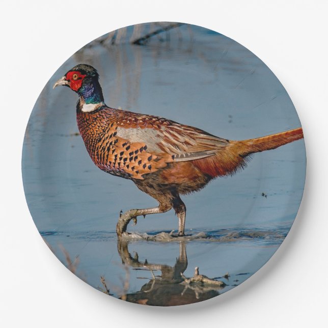 Pheasant Blue Water Photo Paper Plates (Front)