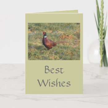 Pheasant Card by Welshpixels at Zazzle