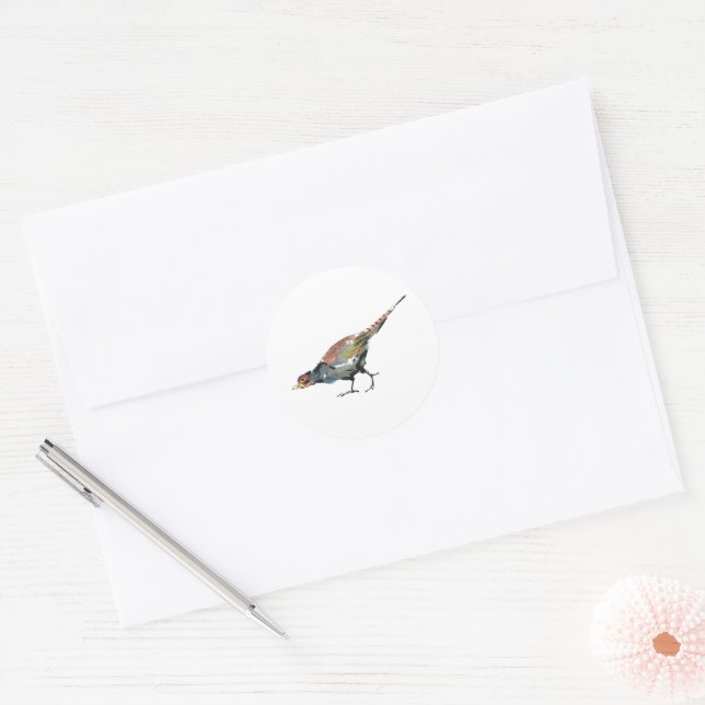 Pheasant Classic Round Sticker (Envelope)