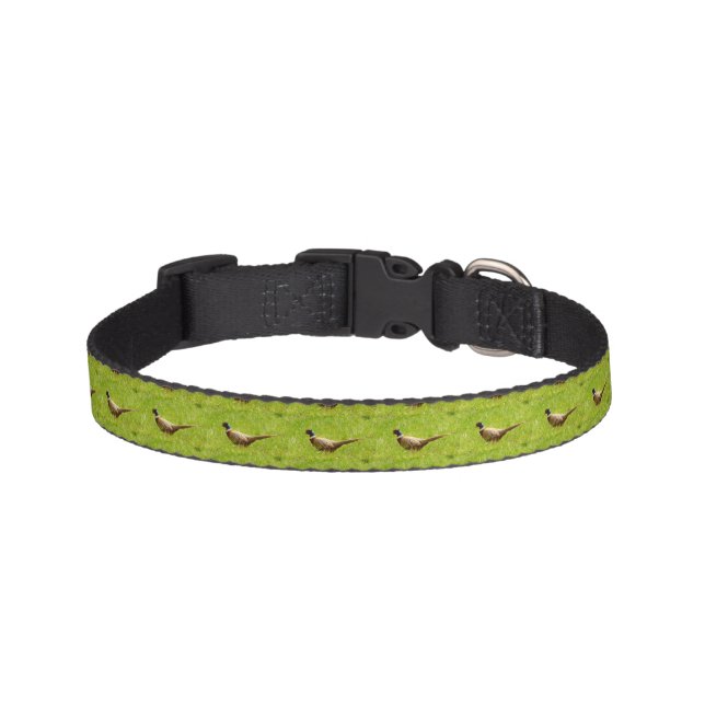Pheasant Dog Collar (Front)