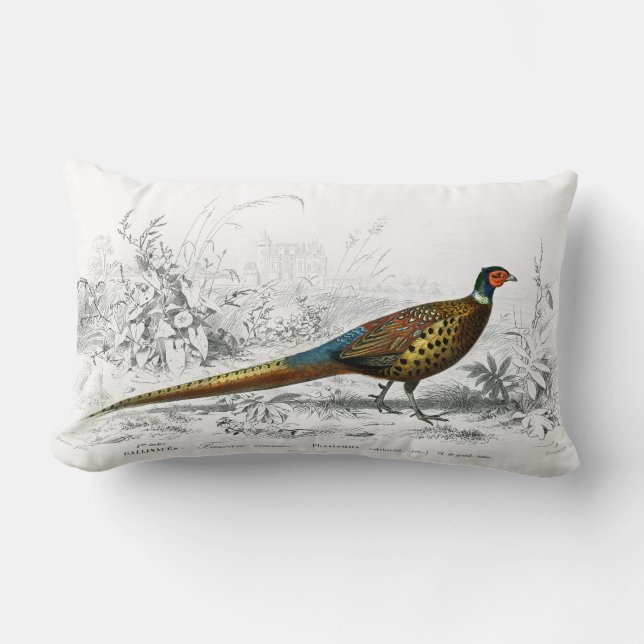 Pheasant for Christmas - Ring Necked Pheasant - Lumbar Pillow (Front)
