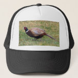 Pheasant Hat at Zazzle