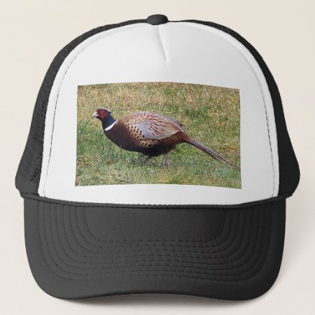 Pheasant Hat