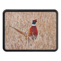 Pheasant