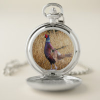 Pheasant Hunting Gift Ideas, Pheasant Hunter