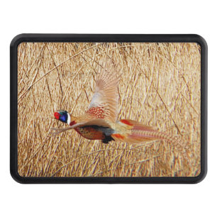Pheasant Hunting Gifts, Ring Neck Pheasant Hitch C Cover