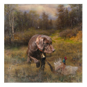 Pheasant Hunting with a Pudelpointers Acrylic Print