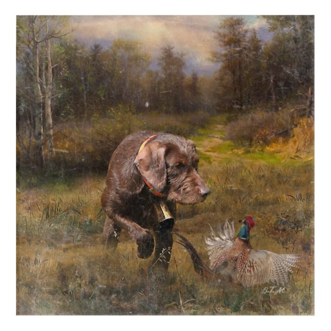 Pheasant Hunting with a Pudelpointers Acrylic Print (Front)