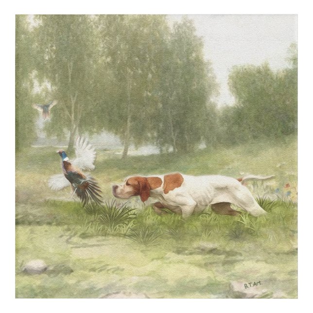 Pheasant Hunting with Pointer  Acrylic Print (Front)