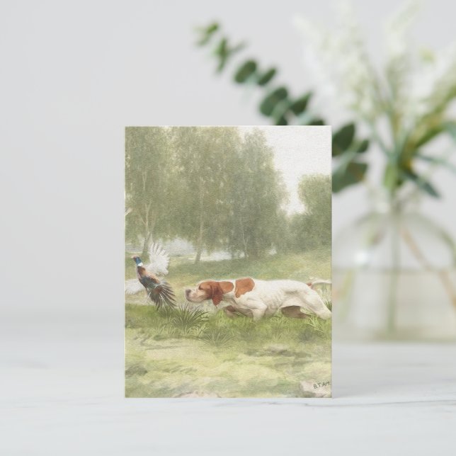 Pheasant Hunting with Pointer     Postcard (Standing Front)