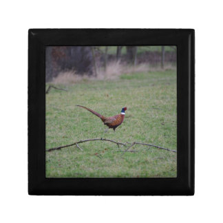 Pheasant Keepsake Box