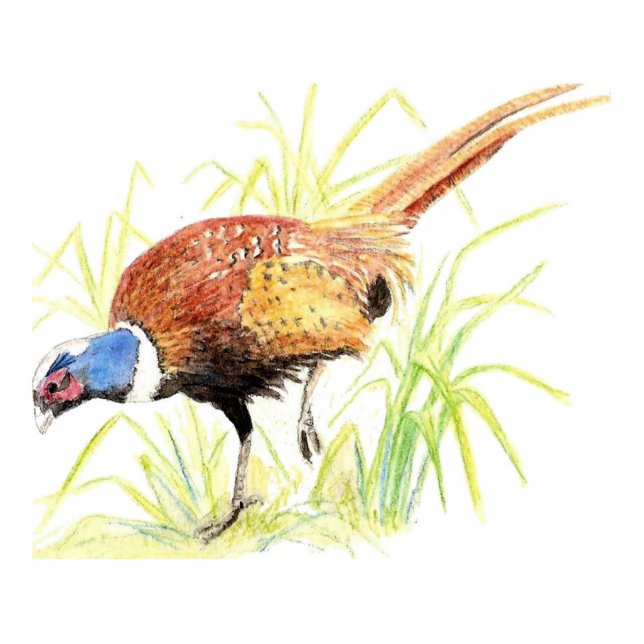 Pheasant, Keyring, Onament, Magnet, or Pin Statuette (Front)