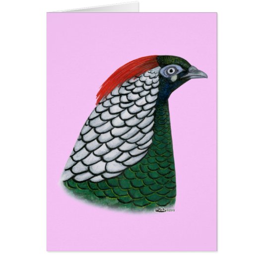 Pheasant: Lady Amherst Head Cards (Front)