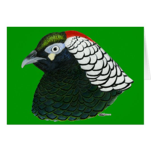 Pheasant: Lady Amherst Rooster Cards (Front Horizontal)
