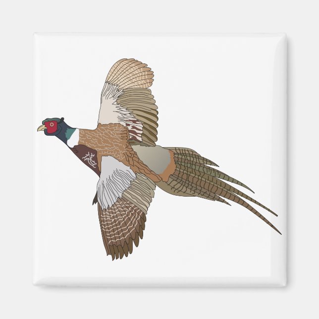 Pheasant Magnet (Front)