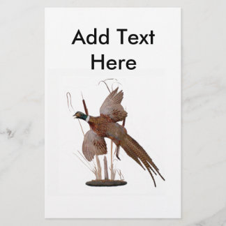 Pheasant Mount