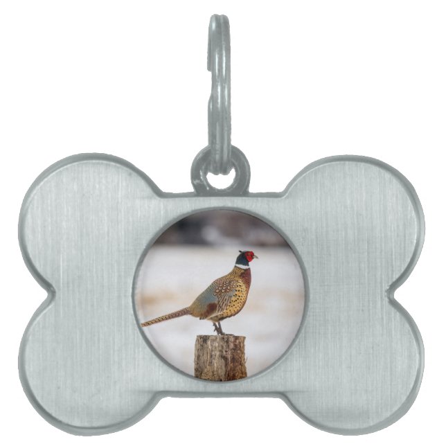 Pheasant Pet Name Tag (Front)