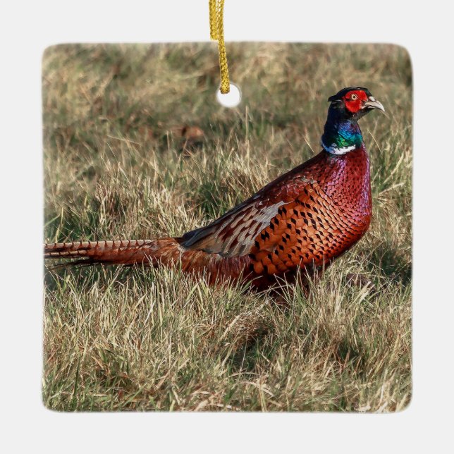 Pheasant Photo Ceramic Ornament (Front)