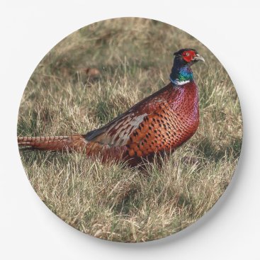 Pheasant Photo Paper Plates