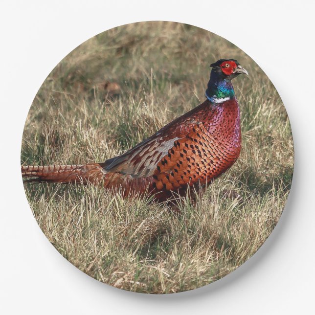 Pheasant Photo Paper Plates (Front)