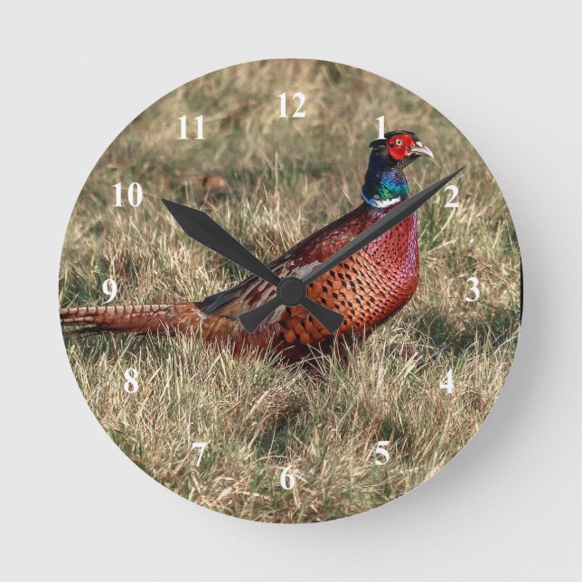 Pheasant Photo Round Clock (Front)