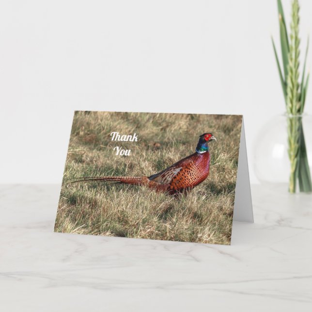 Pheasant Photo Thank You Holiday Card (Front)