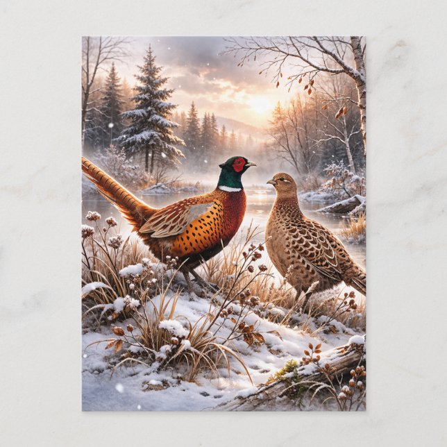Pheasant  postcard (Front)