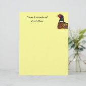 Pheasant: Ringneck Head (Standing Front)