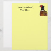 Pheasant: Ringneck Head (Front/Back)