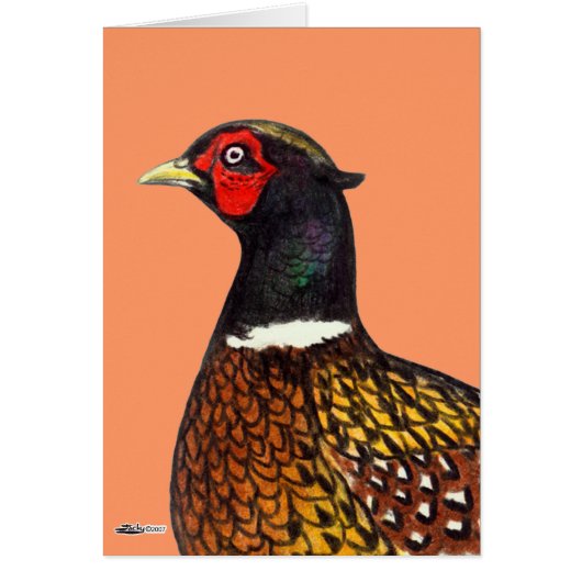 Pheasant: Ringneck Head Cards (Front)