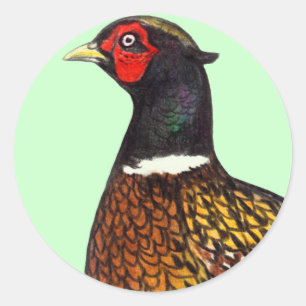 Pheasant: Ringneck Head Classic Round Sticker