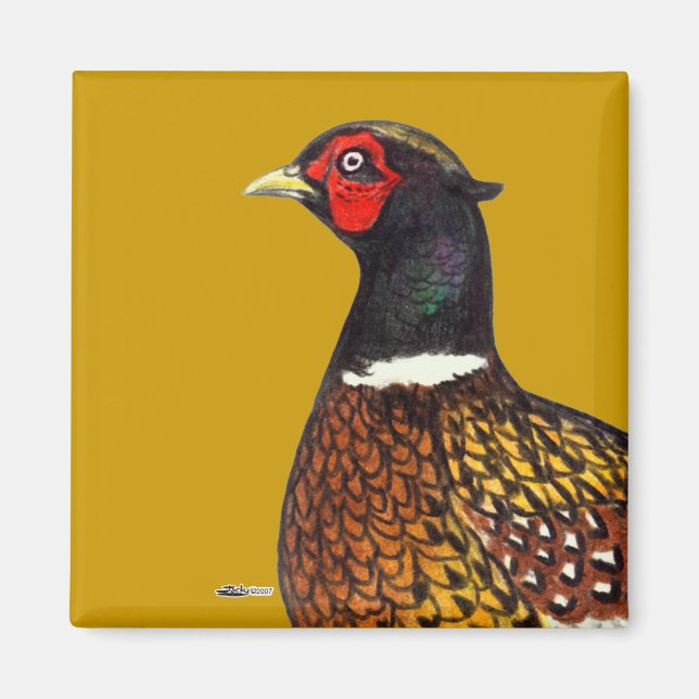 Pheasant:  Ringneck Head Magnet (Front)