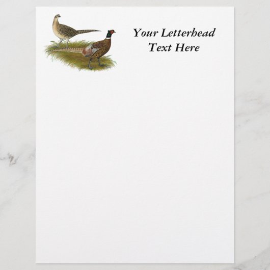 Pheasant: Ringneck Pair (Front)