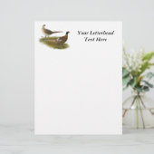 Pheasant: Ringneck Pair (Standing Front)