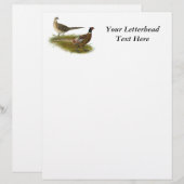 Pheasant: Ringneck Pair (Front/Back)