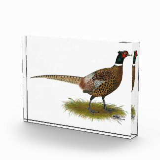 Pheasant Rooster Award