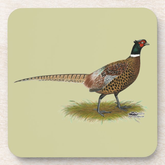 Pheasant Rooster Beverage Coaster (Front)