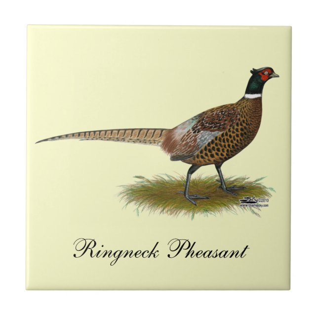 Pheasant Rooster Ceramic Tile (Front)