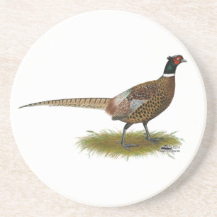 Pheasant Rooster Drink Coaster
