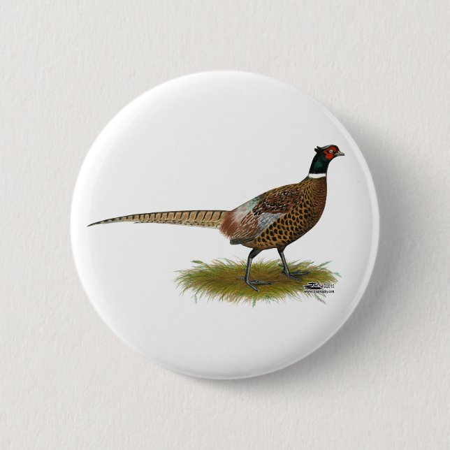 Pheasant Rooster Pinback Button (Front)
