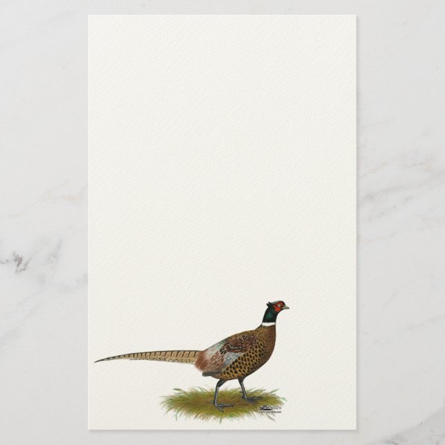 Pheasant Rooster Stationery (Front)