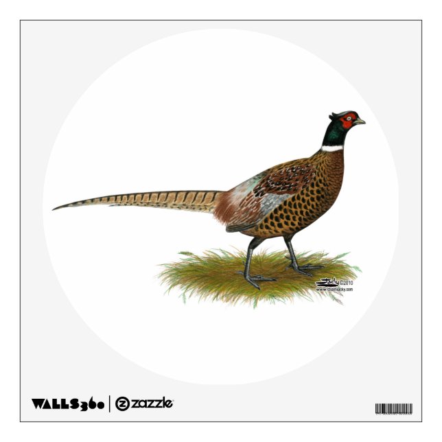Pheasant Rooster Wall Sticker (Front)