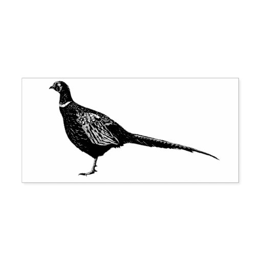 Pheasant Rubber Stamp Zazzle