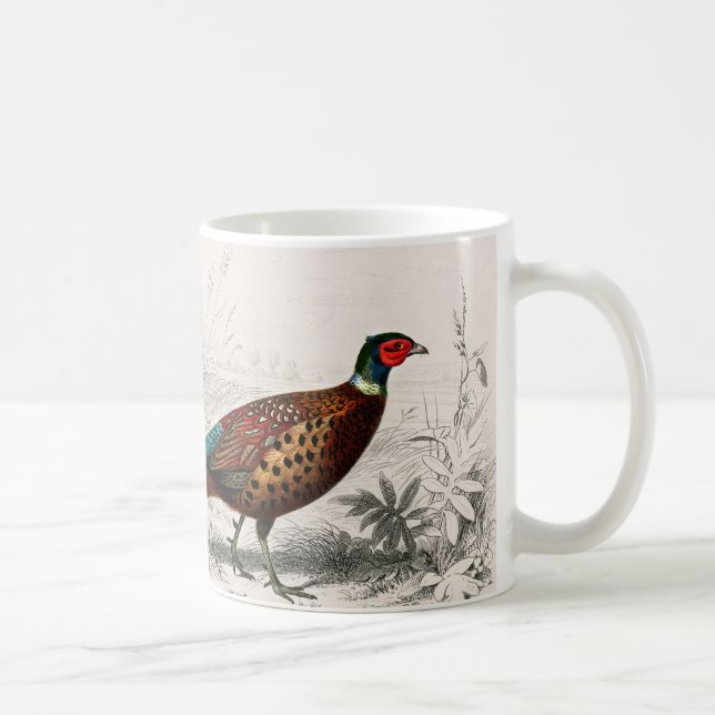 Pheasant vintage illustrated coffee mug (Right)
