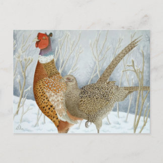 Pheasants in the snow postcard
