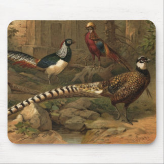Pheasants mousepad