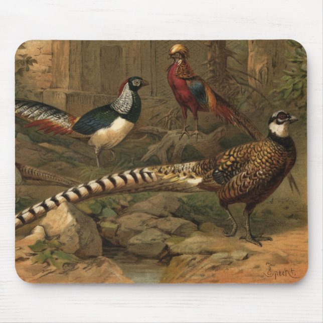 Pheasants mousepad (Front)